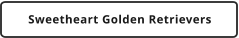 Sweetheart Golden Retrievers