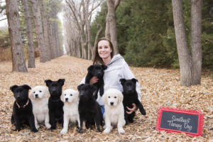Sweetheart Therapy Dogs